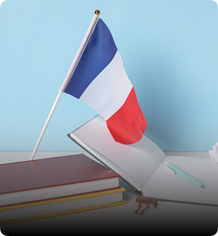 French Legal Translation